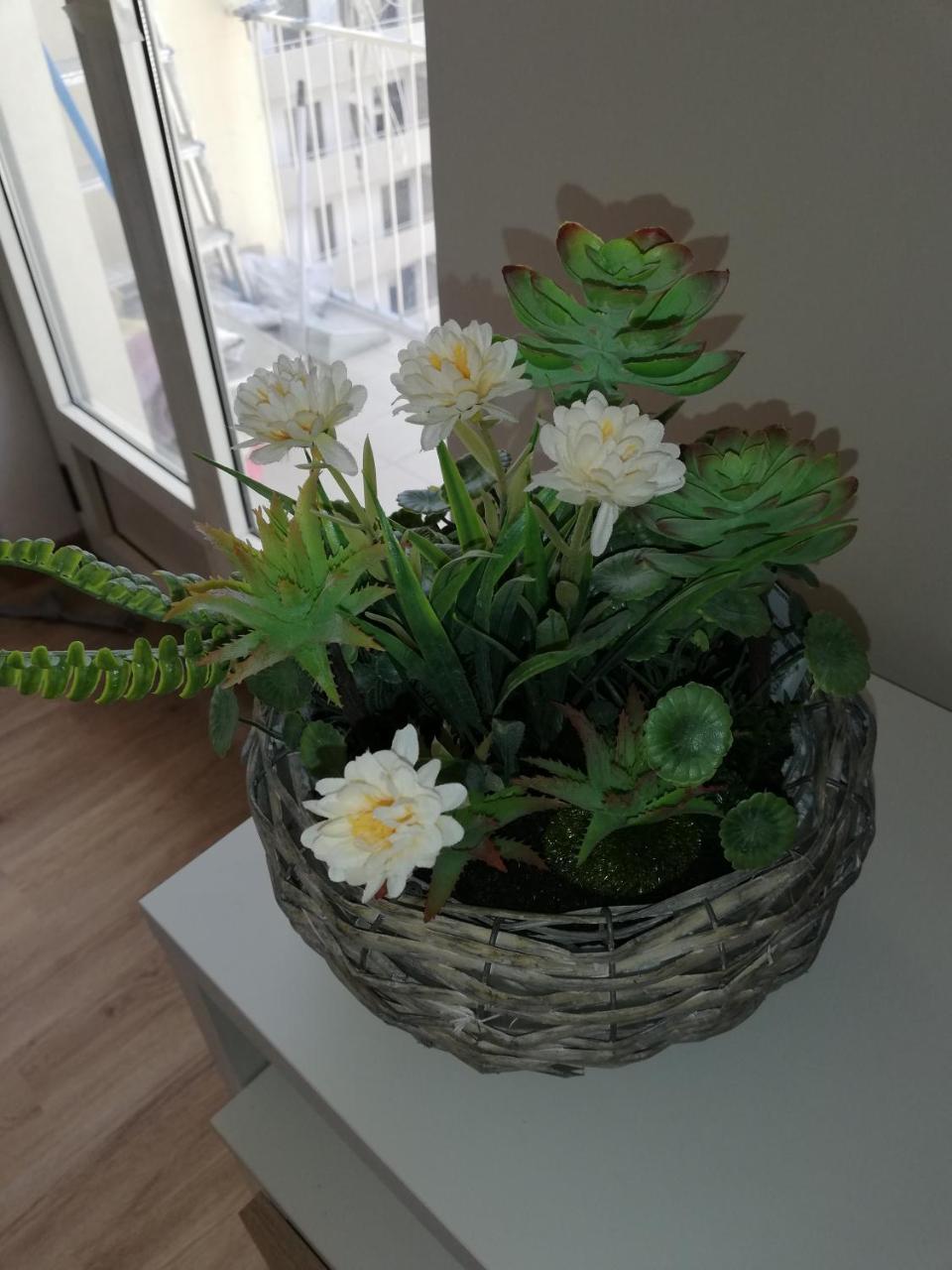 クーネオErnesto'S Houseアパートメント エクステリア 写真